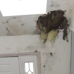 Experts In Alternative Dispute Resolution - Construction Dispute Resolution